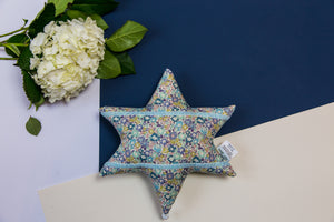 Yael and abi doudou musical juive vert star of david baby toy