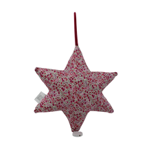 Charger l&#39;image dans la galerie, Yael and abi doudou musical juive pink star of david baby toy